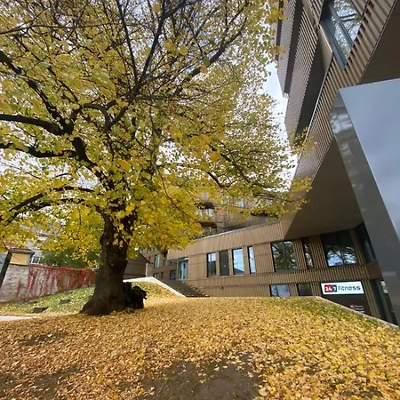 Apartment Tonismae Premium With Sauna *